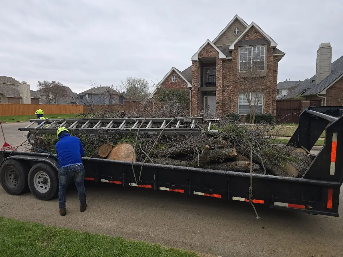 Expert Tree Removal with proper safety equipment in Norborne